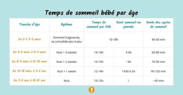 Temps de sommeil de Bébé : combien d’heures à chaque âge ? | Devenir parent