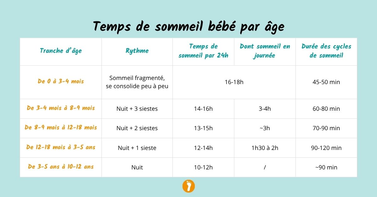 Temps de sommeil de Bébé : combien d’heures à chaque âge ? | Devenir parent